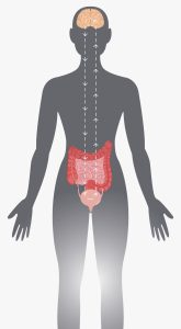 How Axonics Therapy Works at Associated Urological Specialists