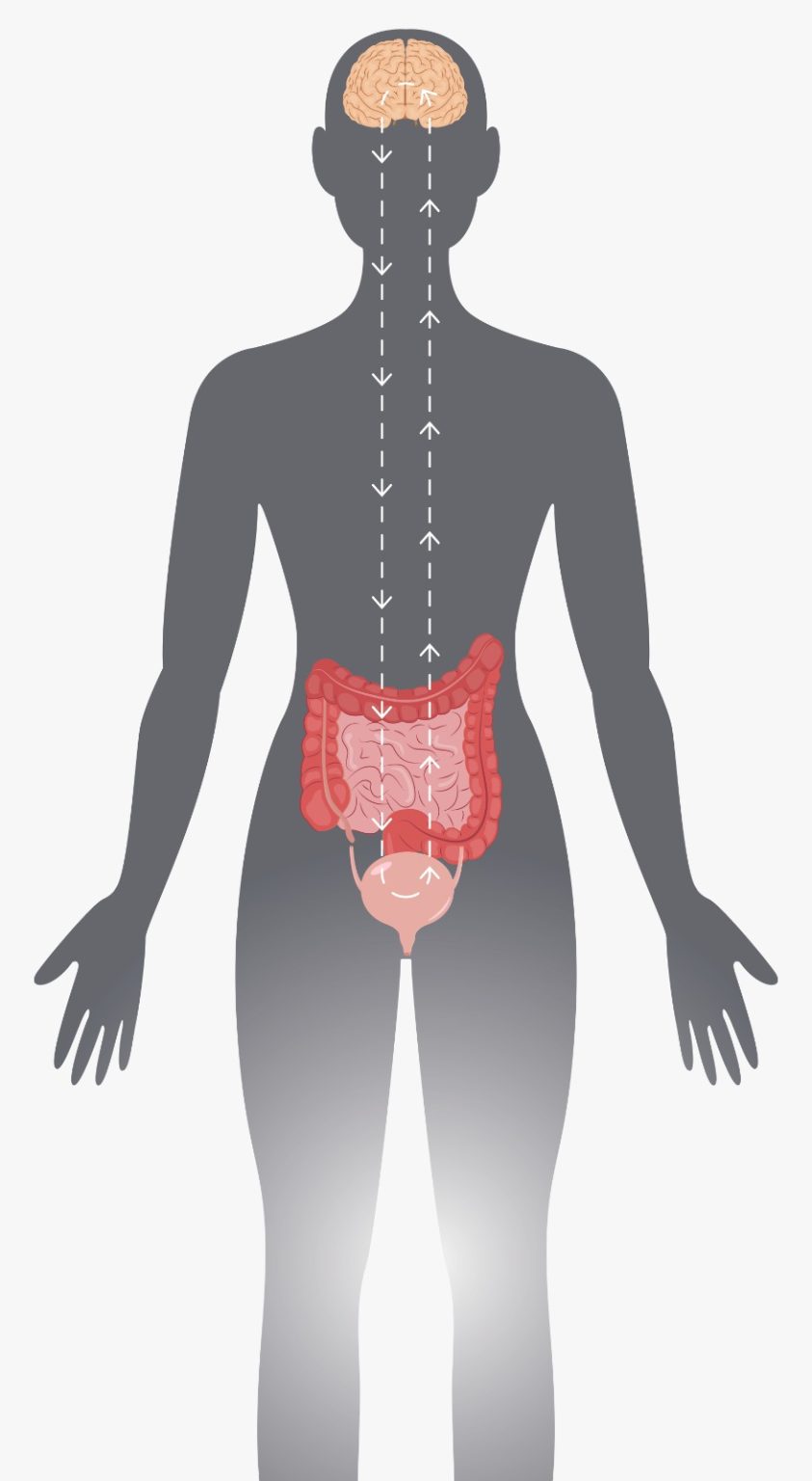 axonics-therapy-overactive-bladder-treatment