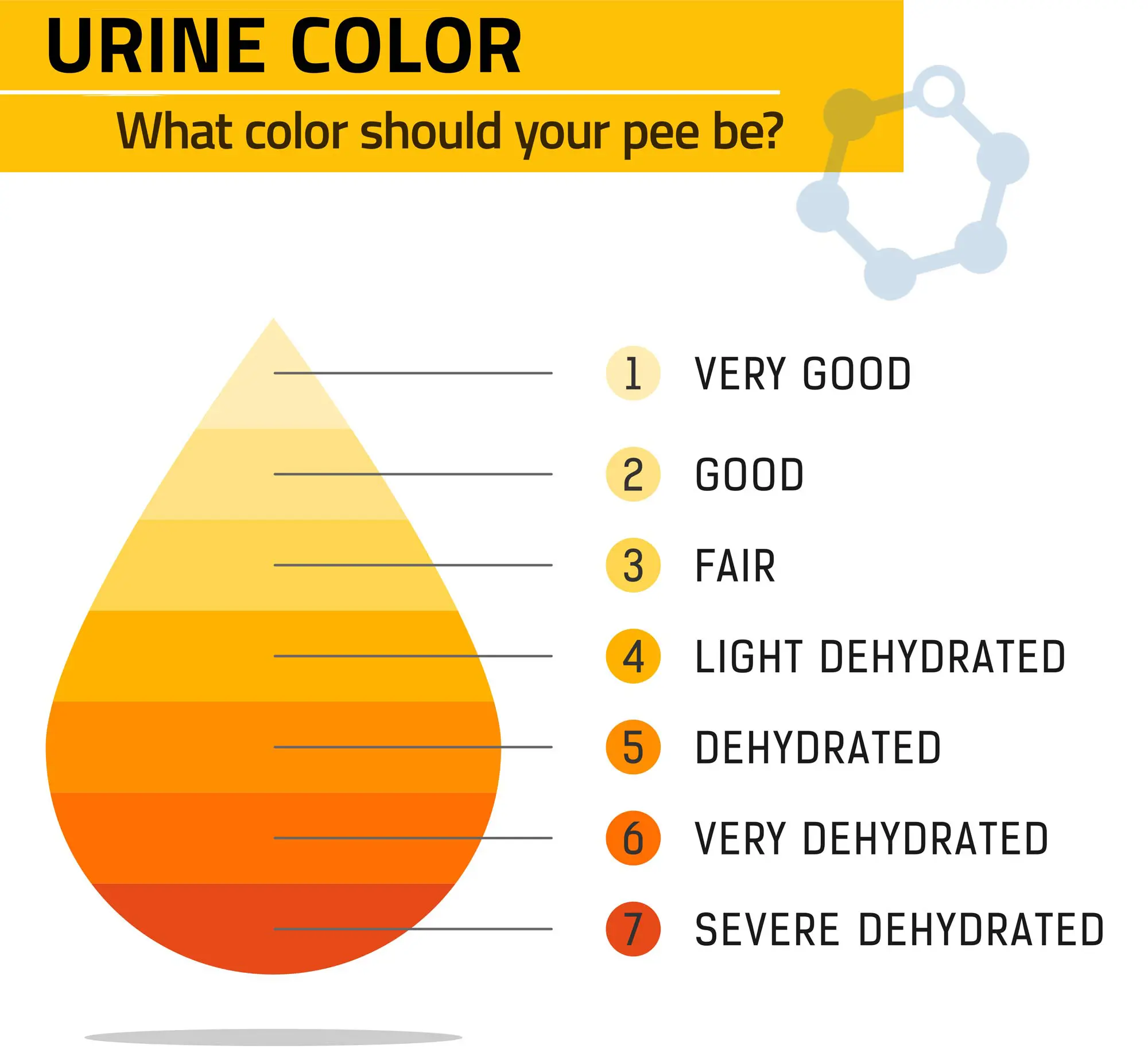 Urine color chart